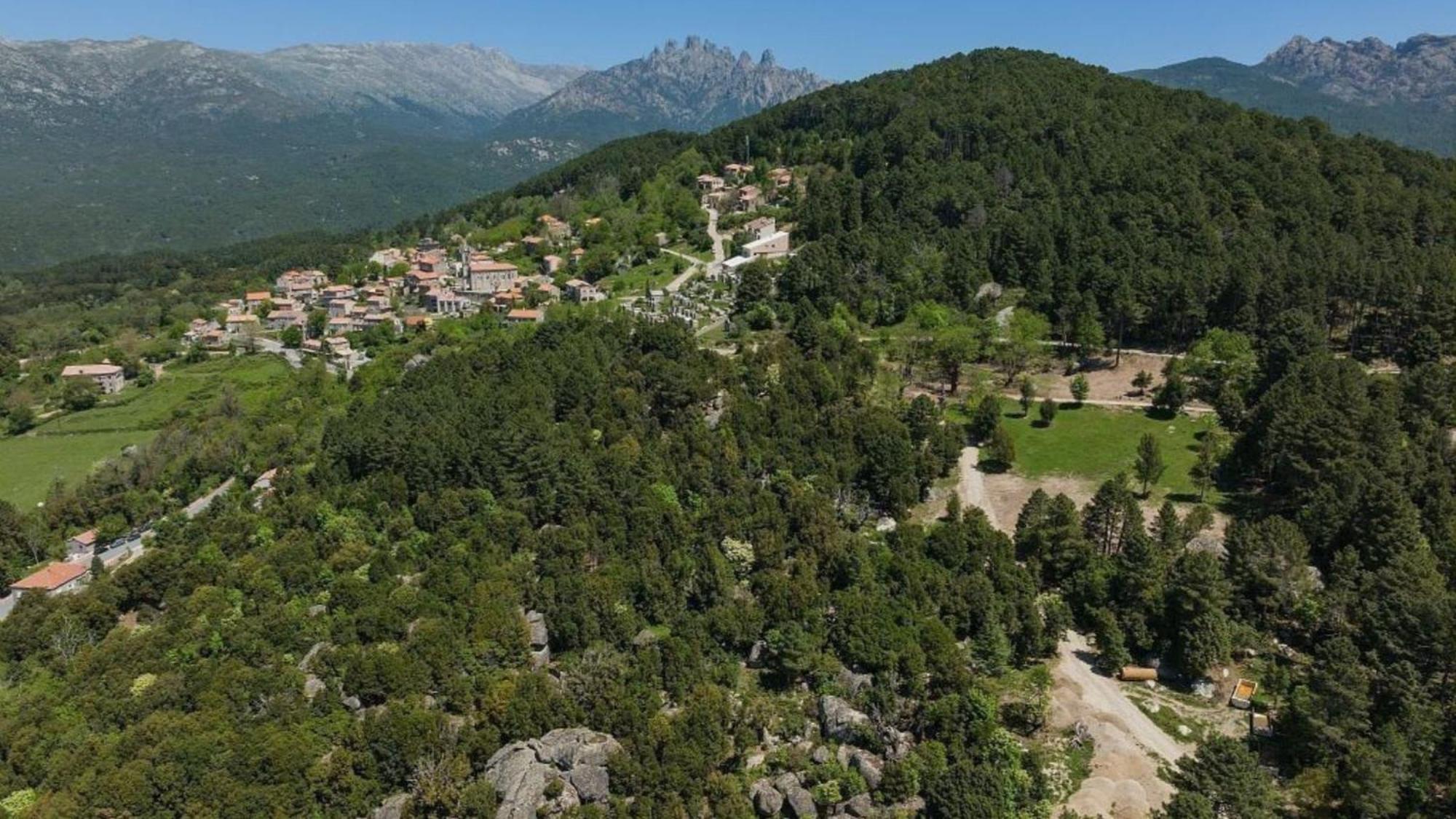Domaine Le Mouflon D'Or Hotel Zonza Exterior foto
